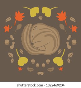 Sleeping squirrels in autumn leaves