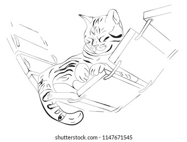 sleeping tabby cat sketch