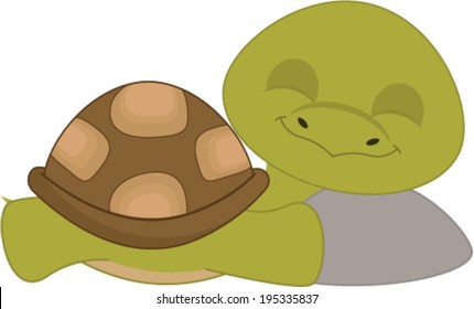 Sleeping Turtle