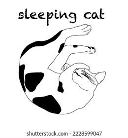 sleeping white black cat so lovely