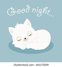 Sleeping white cat/kitten. Good night illustration. Vector cartoon illustration