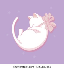 Sleeping white cute baby cat