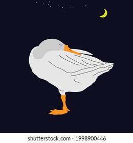 A Sleeping White Duck in The Cressent Night