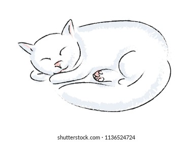 sleeping white kitten