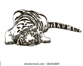 Sleeping white tiger drawing