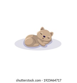 sleeping wombat cartoon curled up. Flat vector illustration isolated