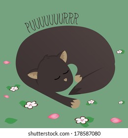 Sleepy cat 
