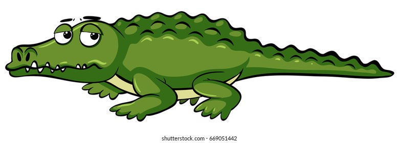 Sleepy crocodile on white background