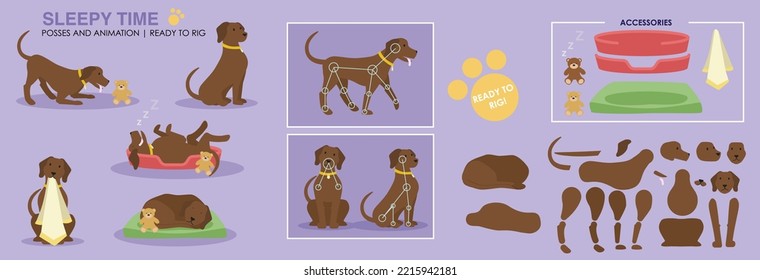 Sleepy Dog posa posiciones y listo para amarrarse para el vector de animación. viene con accesorios como canasta de perro, osito de peluche y manta. Múltiples ángulos del perro. Chocolate Labrador. 