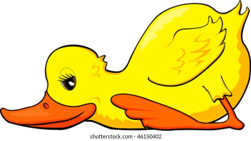 Sleepy duck