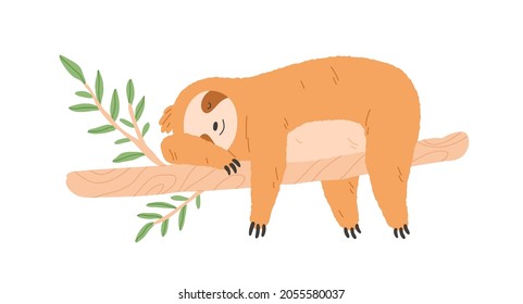 Sleepy perezoso perezoso durmiendo en la rama del árbol. Un animal alegre y amable mintiendo. Relájate con un personaje de bebé que descansa con las patas que cuelgan. Ilustración vectorial plana aislada en fondo blanco