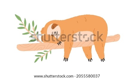 Sleepy lazy sloth sleeping on tree branch. Cute happy animal lying. Asleep baby character relaxing and resting with paws hanging down. Flat vector illustration isolated on white background