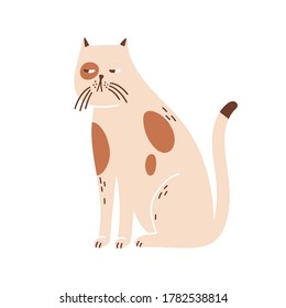 Sleepy, lonely cat portrait. Cute beige pet. Suspicious kitten muzzle. Domestic animal. Decoration, childish design for t shirt print. Flat vector cartoon illustration isolated on white background