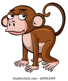 Sleepy monkey on white background