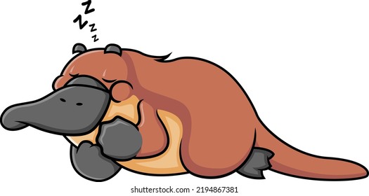 The sleepy platypus is sleeping so tight and snoring of illustration