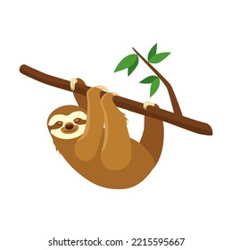 Sleepy sloth on branch vector illustration. Sloth hanging on tree branch isolated on white background. Animals and wildlife concept