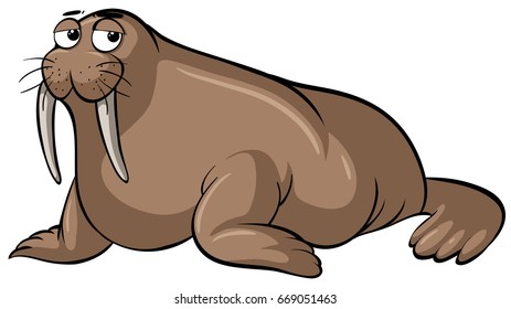 Sleepy walrus on white background