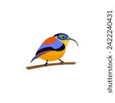 Slender billed scimitar babbler, passerine bird sitting on tree branch in tropical forest vector illustration