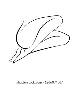 slender female legs Vector contour of female legs Hairless Smooth Soft And Silky Skin. Beauty Body Care Concept