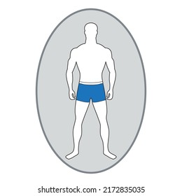 Slender tall man with muscular figure in blue swimming trunks. White male figure in full growth. Adult vector character. Correct physique and body proportions. Impersonal person with normal weight.