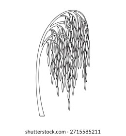 "Slender Tree with Hanging Leaves Line Art."