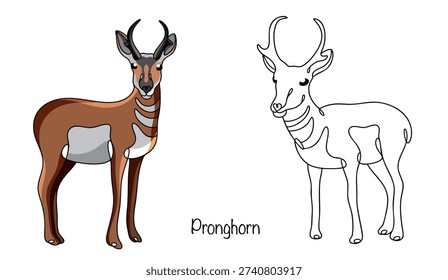 A slender ungulate with reddish fur and white markings on its belly and neck. Its head is topped with dark, curved horns with a small, forked tip. The two pronghorns are hand-drawn.