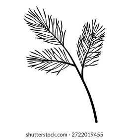 Rama vertical perenne delgada con tres vástagos principales, simple primavera de conífera dibujada a mano para tarjetas de invierno y marca. Ilustración vectorial