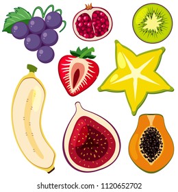 A Slet of Sliced Fruit illustration