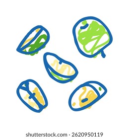 slice apple cut green doodle icon sketch vector. slice apple cut green sign. isolated symbol illustration