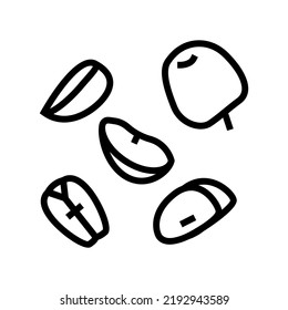 slice apple cut green line icon vector. slice apple cut green sign. isolated contour symbol black illustration