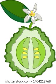 Un trozo de naranja bergamota, con tallo y hoja, con una flor, vector, dibujo o ilustración de color. 