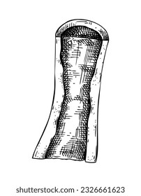 Scheiben von großen Knochenmark mit Fleischskizze. Gekochter Knochen einzeln auf weißem Hintergrund. Handgezeichnete, gesunde Essensgrafik für Metzgerei, Rezepte, Vintage-Menü. 