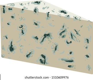 A slice of blue cheese. Color vector graphics. Dairy and cheese products. isolated illustration. Muted tones. moldy cheese.Isolated on a white background.