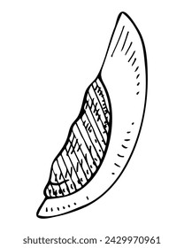 Slice of boiled egg sketch. Breakfast food. Hand drawn vector illustration.