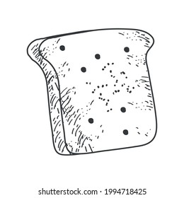 slice bread sketch sketch isolated