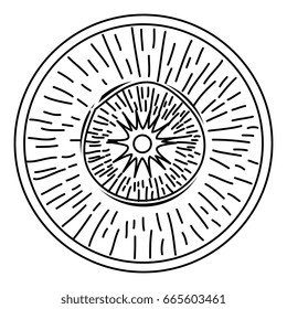 slice carrot fresh vegetable icon