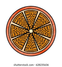 slice citrus fruit icon