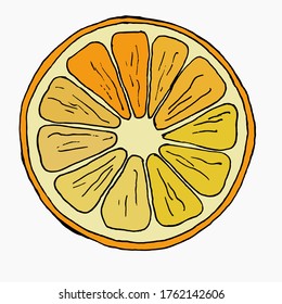 A slice of citrus. Linear drawing on an orange background.
