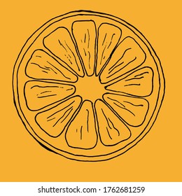 A slice of citrus. Linear drawing on an orange background.