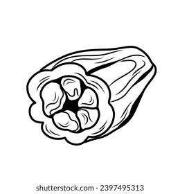 Slice of cocoa bean in line art style, doodle illustration, tropical fruit on white background