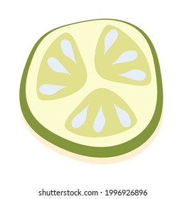 Un trozo de pepino fresco. Ilustración del vector aislada en fondo blanco