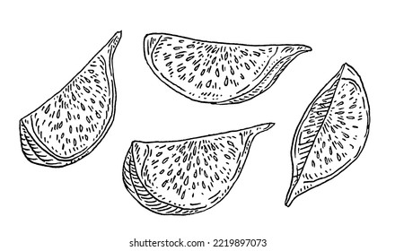 Slice fresh fig. Vector black vintage engraving illustration. Isolated on white background. Hand drawn design element for label