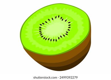 A Slice of Fresh Kiwi Fruit