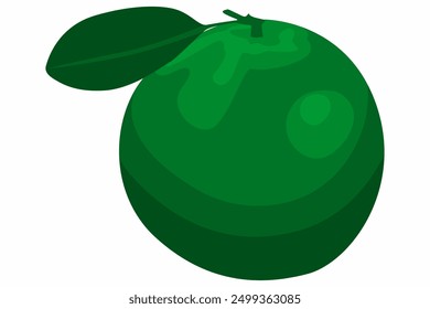 A Slice of Fresh Orange Fruit