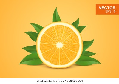 Slice of fresh orange realistic 3D illustration, design element. Half of citrus with leaf 