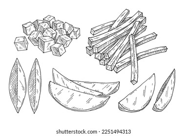 Slice fresh potato. Vintage engraving vector black illustration. Isolated on white background.