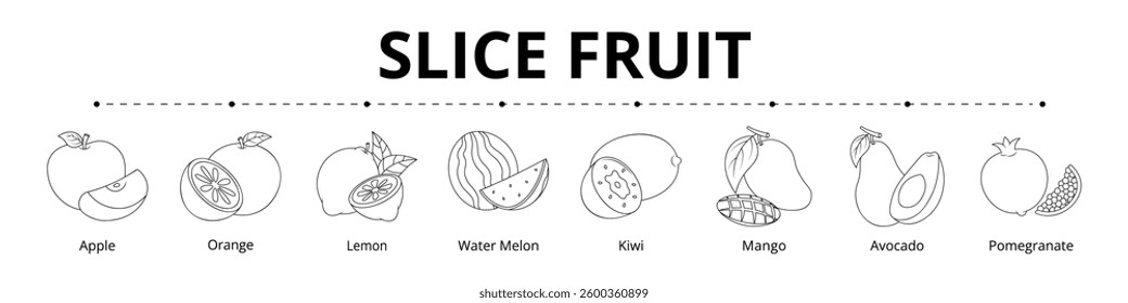Slice Fruit Line Banner Web Icon Set Vector Illustration