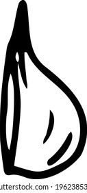 A slice of garlic drawn by hand. Black and white vector illustration. Isolated object on a white background.