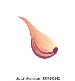 Slice garlic isolated vector set. Vitamin vegetable set in cartoon style.