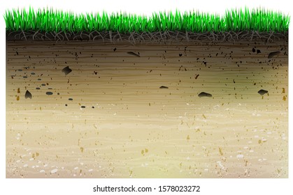 A slice of the geology of the field and plants. Texture in the vector. Wheat